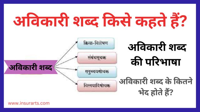 Avikari shabd kise kahte hai
